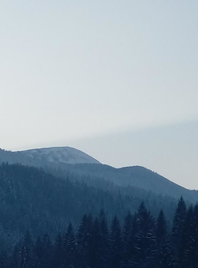 Гостевой дом Schedryk Микуличин-33